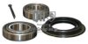 JP GROUP 1241303019 Wheel Bearing Kit